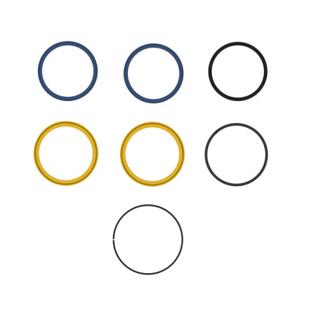 Set garnituri cilindru directie